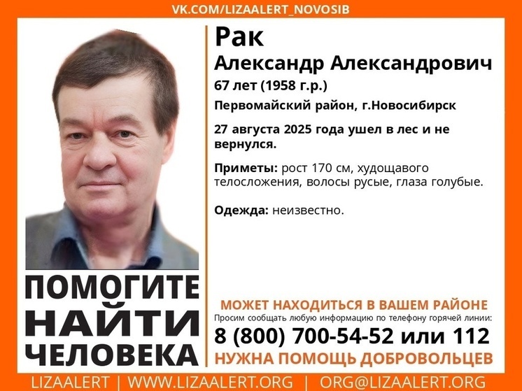 67-летний грибник бесследно исчез в лесу Первомайского района