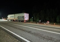 Вечером 27 августа на федеральной трассе в Марий Эл легковой автомобиль столкнулся с грузовиком.