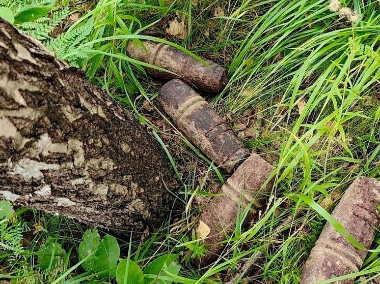 В Издешкове обезвредили четыре снаряда времен второй мировой