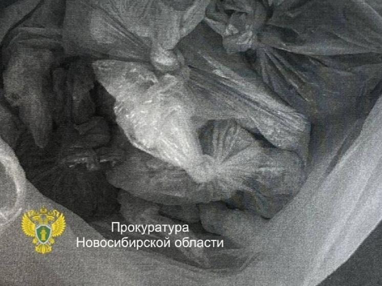 Житель Новосибирска попался полицейским с двумя килограммами героина