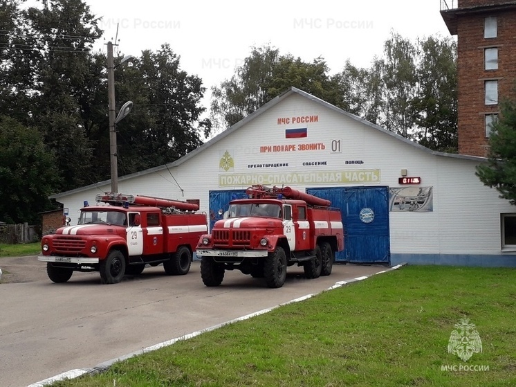 В ДТП под Ельней пострадали два человека