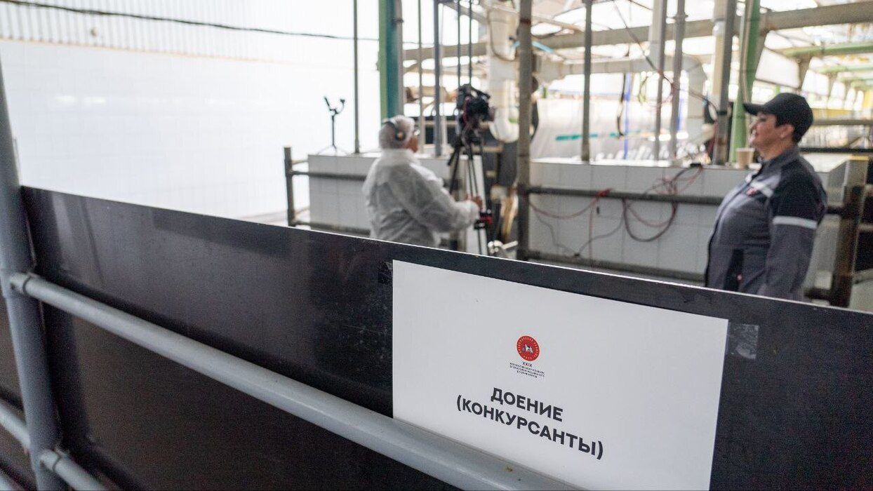 Владимирские доярки борются за звание лучших в России на Всероссийском конкурсе