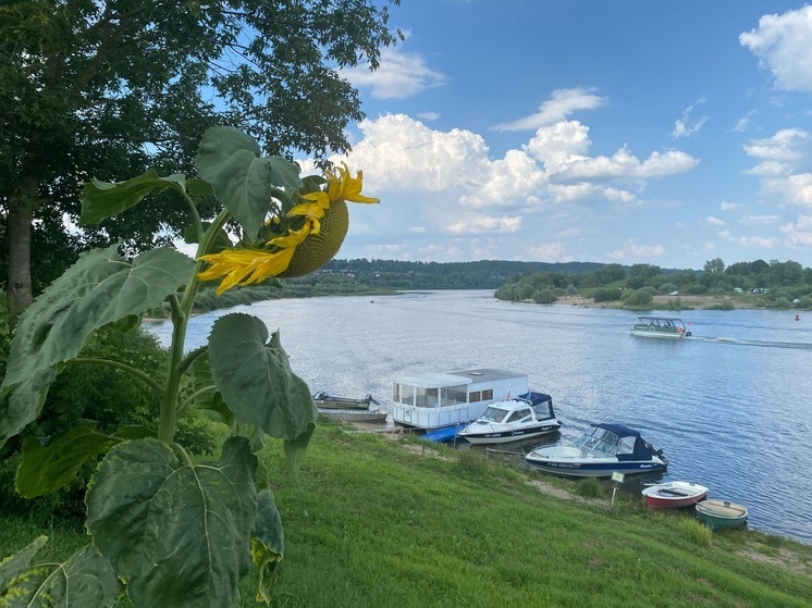В Тарусе готовятся к самому атмосферному фестивалю осени