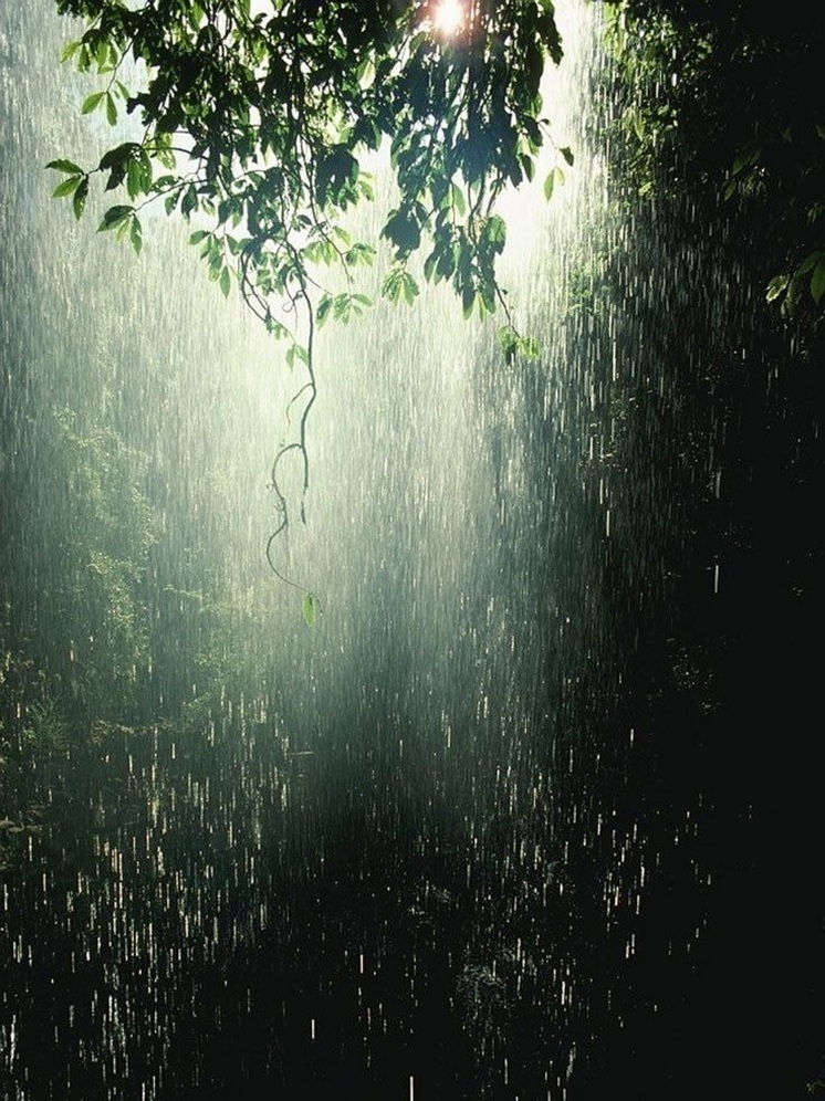 Не наступать на утреннюю росу и убрать подальше колюще-режущие предметы советует народный календарь