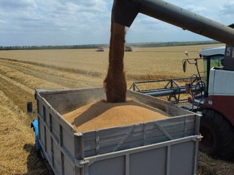 В Предгорном округе завершили уборку зерновых и зернобобовых культур