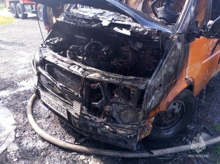 В Брянской области спасатели потушили горящий автомобиль