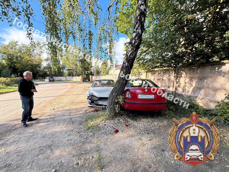 Под Тулой пьяный водитель ВАЗ спровоцировал ДТП со SKODA и деревом