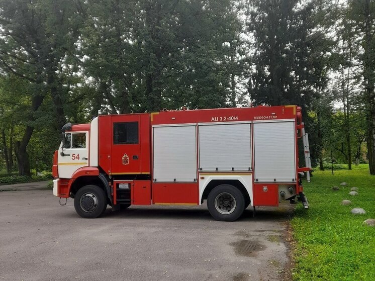 В Ленобласти за прошедшие сутки потушили 8 пожаров
