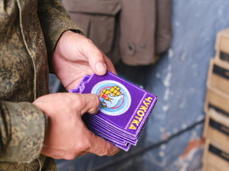 Участникам программы "Герои Чукотки" утвердили план обучения в ДВФУ