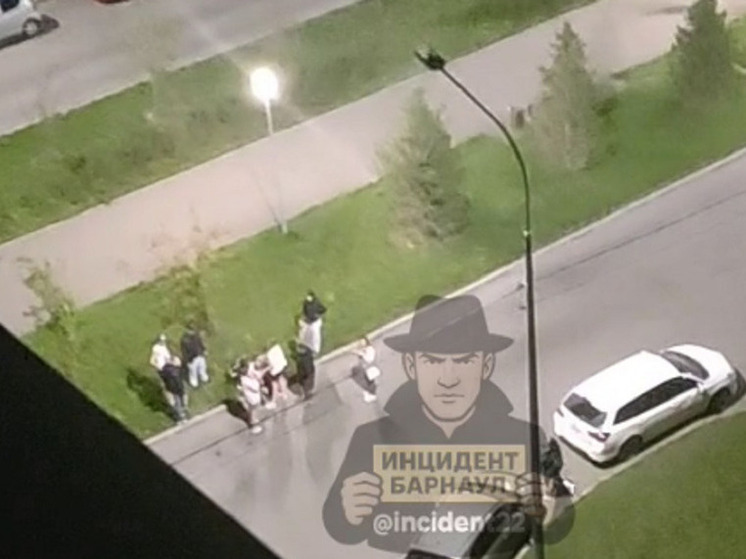 Вооруженные палкой мужчины избили барнаульца на улице. Полиция проводит проверку