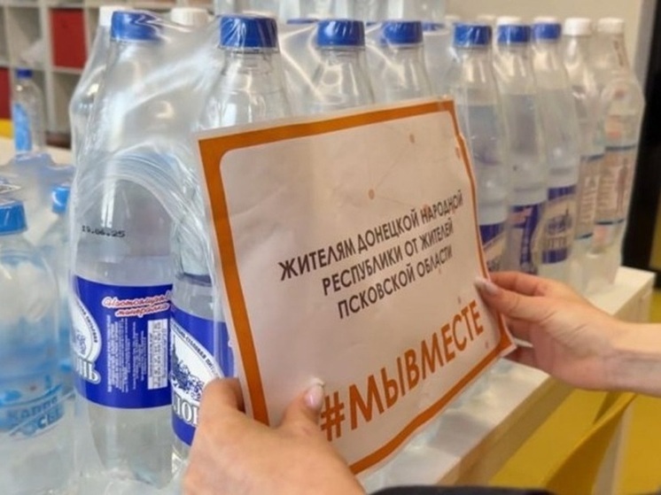 Псковская область отправила очередную партию гуманитарного груза в ДНР