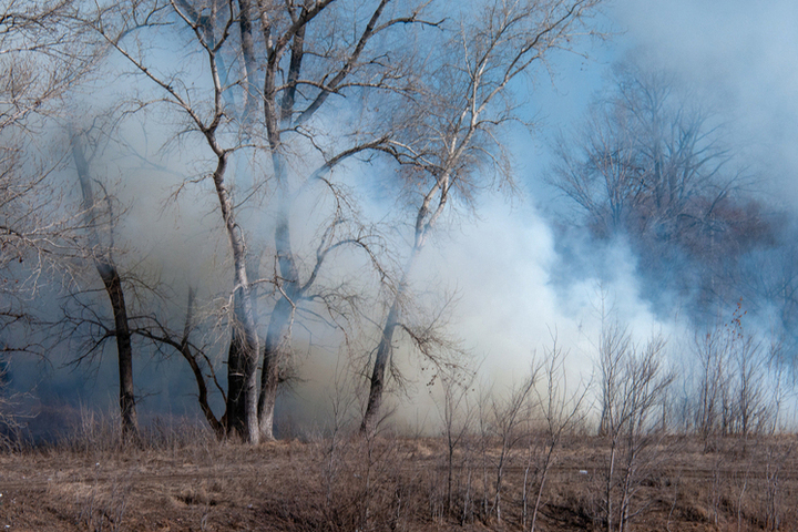 Стало известно, что лесной пожар заблокировал более 20 туристов под Геленджиком
