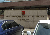 Учредить ведомственную награду «За добровольческую деятельность» решили в Федеральной налоговой службе РФ