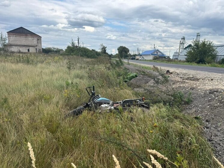Под Воронежем КамАЗ сбил мопед с двумя несовершеннолетними