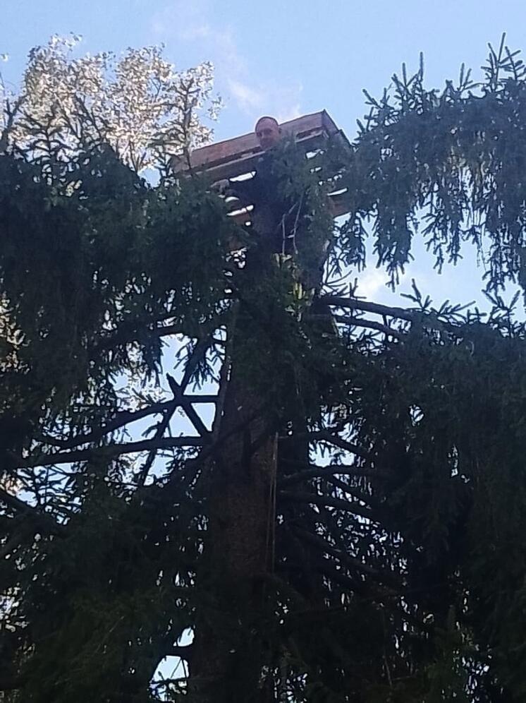 Не успели улететь: в Калужской области готовятся к следующему визиту аистов