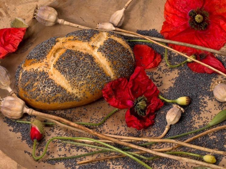 Физиолог Лялина: из-за булочек с маком можно провалить тест на наркотики