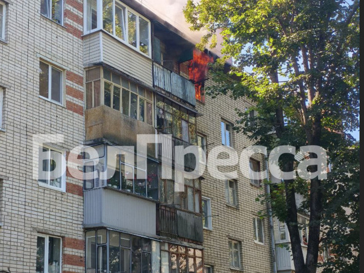 В Белгороде произошел пожар в МКД: загорелась квартира на пятом этаже