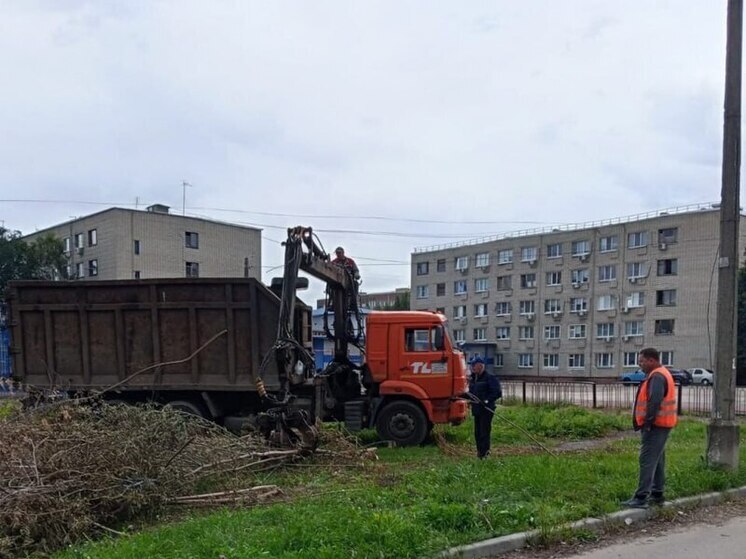 В Курске убрали несанкционированную свалку возле спортивной школы «Виктория»
