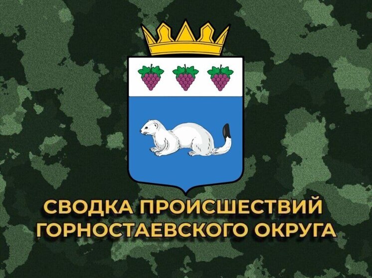 За сутки ВСУ 11 раз обстреляли Горностаевский муниципальный округ