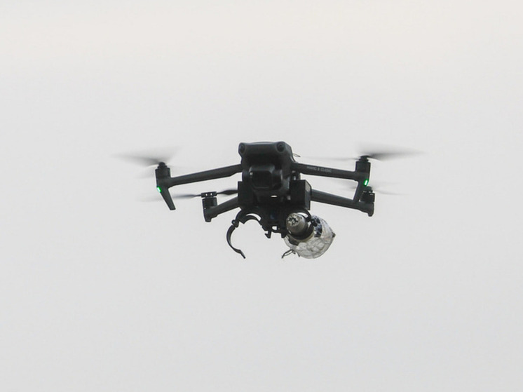 В Новосибирске на две недели запретили запуск беспилотников