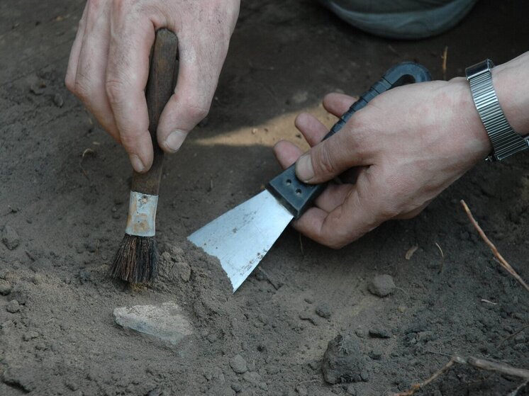 Археологическая находка: деревня возрастом более 500 лет обнаружена в Подмосковье