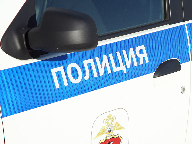16-летний подросток задержан в Москве за насильственные действия сексуального характера в отношении девочки