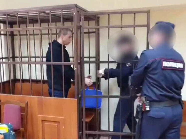 Одного из участников группы мошенников осудили в Йошкар-Оле