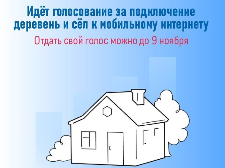 Жители Тамбовской области решат судьбу мобильного интернета в малых сёлах