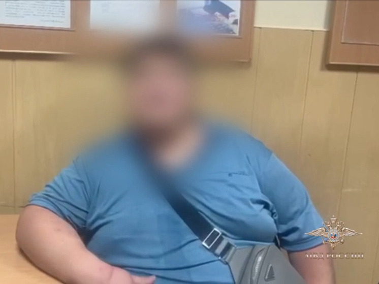 Самолет Москва-Барнаул вынужденно приземлился в Омске из-за буйного пассажира