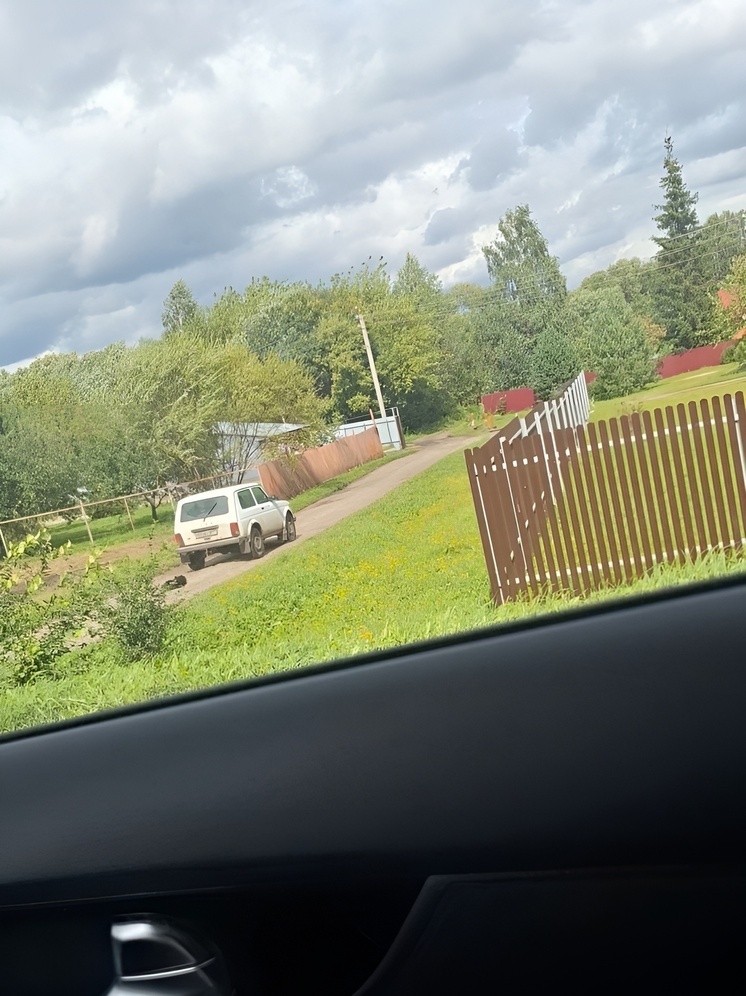 В Богородицке заметили Ниву, тащившую собаку на привязи по дороге