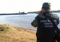 В Свердловской области завершились поиски 8-летнего мальчика, который пропал в Артемовском