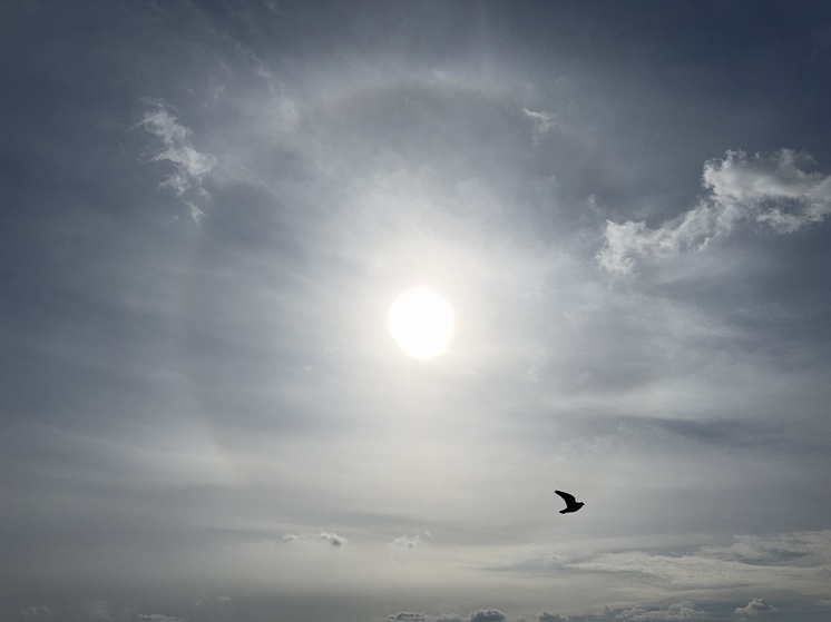 Россиянам рассказали, каким будет 29 августа для разных знаков зодиака