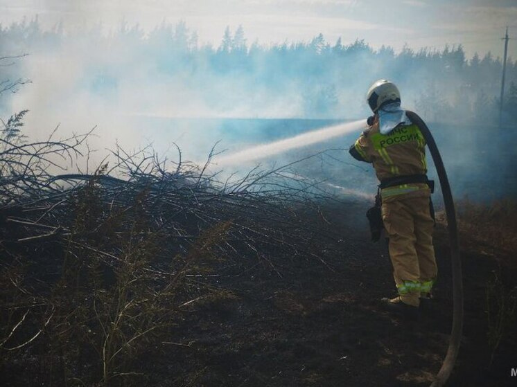 В Луганске ликвидируют крупный пожар