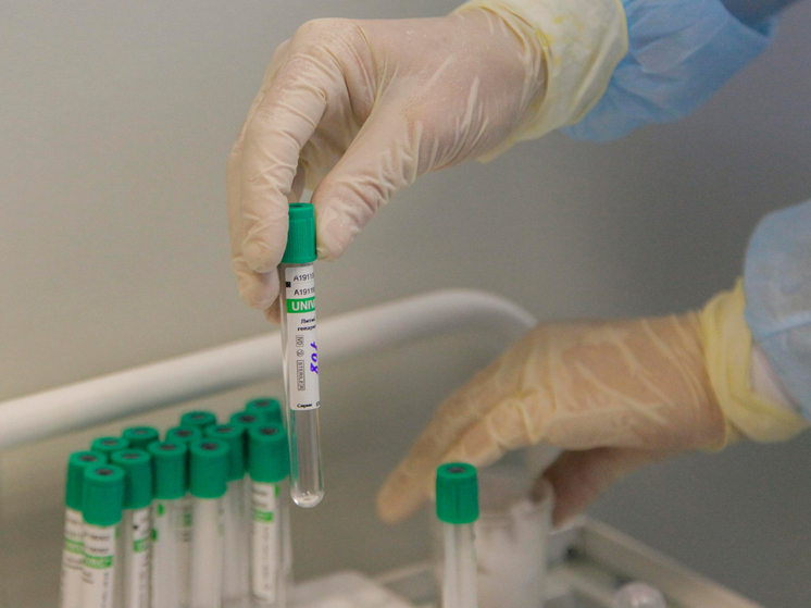 Чрезвычайно заразный вариант SARS-CoV-2, получивший имя «Стратус» (он же XFG) вызвал новую волну заболеваемости в России