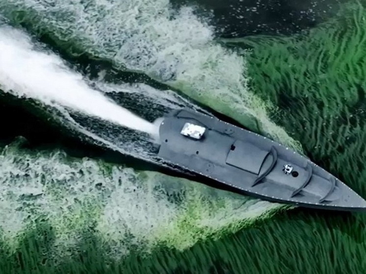 Дандыкин назвал удар по "Симферополю" боевым крещением для морского дрона ВС РФ