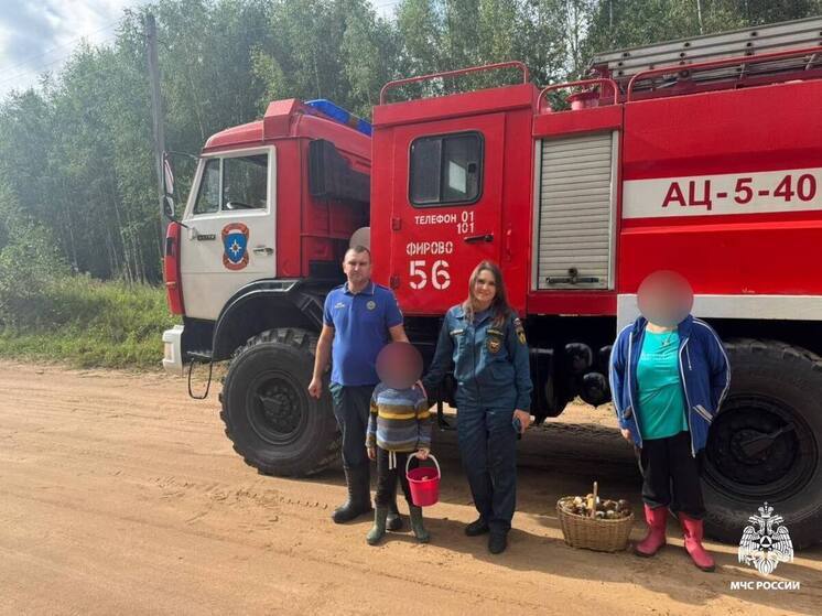 Женщину и ребенка вывели из леса в Тверской области