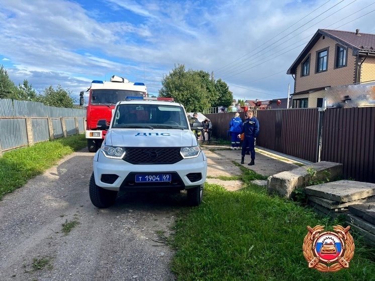 В СНТ под Тверью водитель иномарки насмерть сбил двухлетнего ребенка
