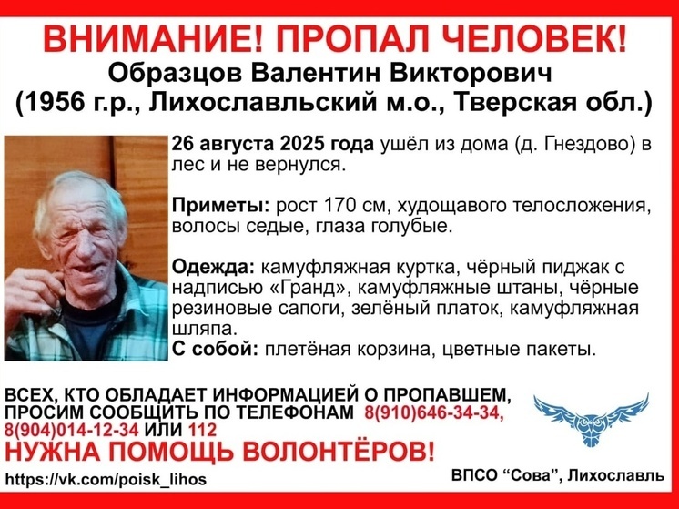 В лесу в Тверской области потерялся худощавый пенсионер