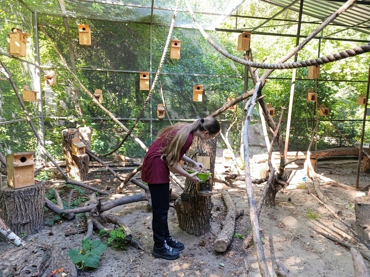 Более 4,6 тысячи подростков Волгоградской области работали летом 2025 года