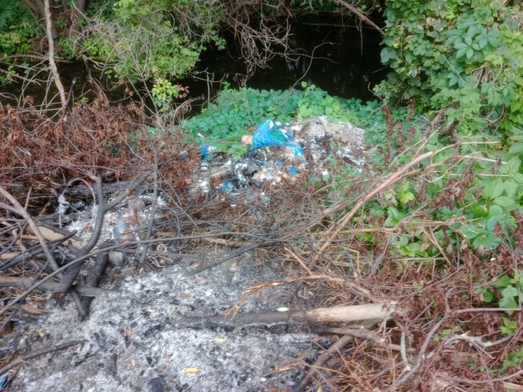 Владельца частного дома под Воронежем уличили в загрязнении заказника
