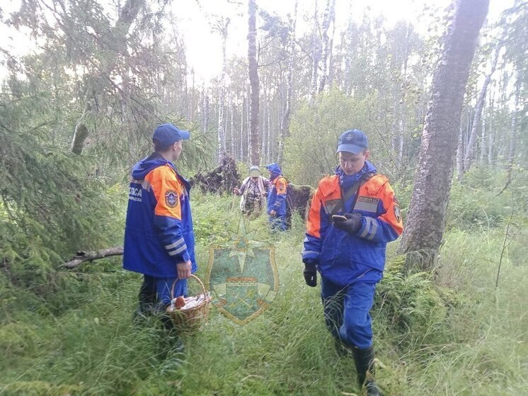 В Кировском районе спасатели искали пожилую женщину