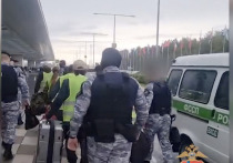 Служба судебных приставов Красноярского края обеспечила принудительную депортацию восьми иностранных граждан, задержанных во время недавних рейдов в Березовском районе
