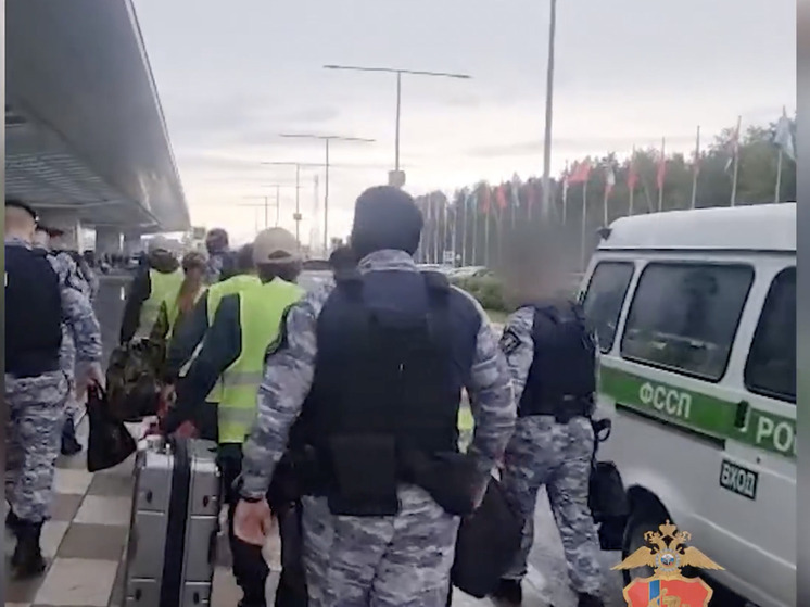 В Красноярском крае депортировали восемь мигрантов после масштабных рейдов в тепличных хозяйствах