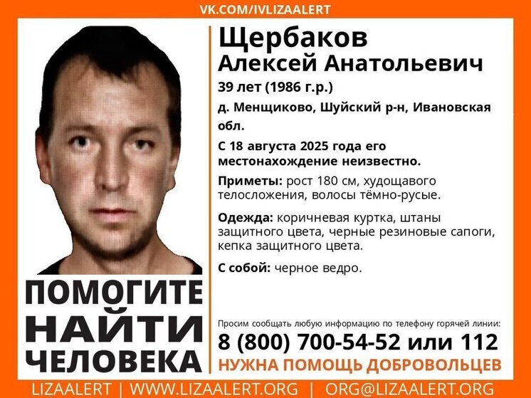 Мужчина с ведром бесследно исчез в Ивановской области