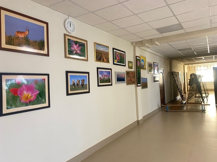 Школы Калмыкии получают фотоработы с выставки о природе