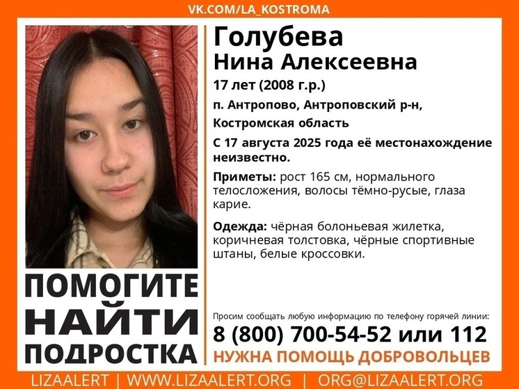 Поисками 17-летней девушки заняты в Костромской области