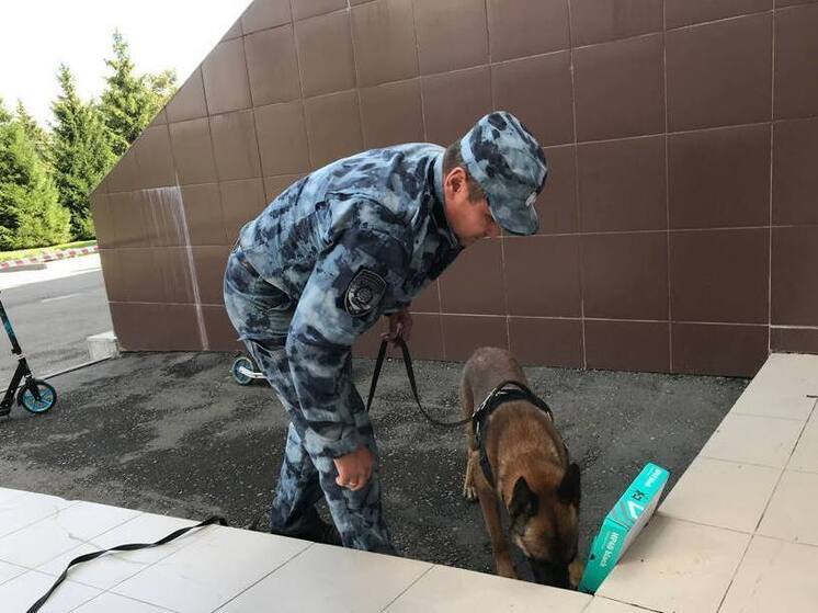 В образовательных организациях Чувашии прошли антитеррористические учения