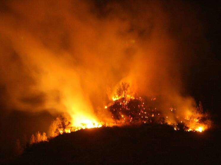 МЧС: пожар в лесничестве под Геленджиком охватил 39 гектаров