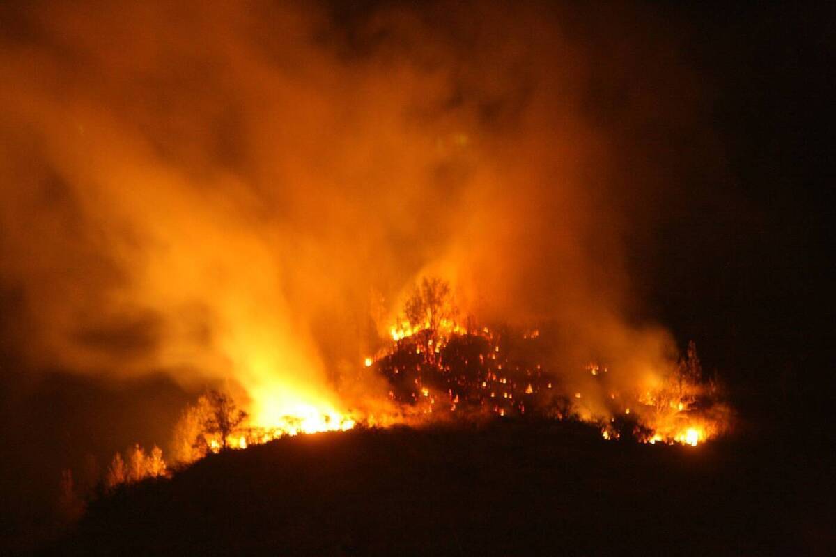 В МЧС сообщили, что за сутки лесной пожар в Геленджике достиг 39 гектаров