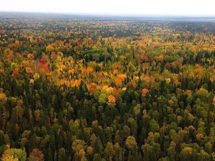 В «РуссНефти» сообщили о подписании соглашения о социальном партнерстве с администрацией Нижневартовского района ХМАО
